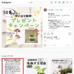 「テレビで紹介された！芽が出る鉛筆🖊」の画像