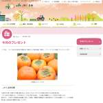 「久留米産柿「富有」」の画像