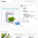 「水耕栽培セット」の画像