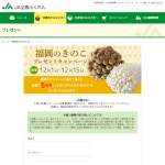 「福岡のきのこ 詰め合わせセット」の画像