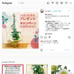 「クリスマストマトツリー」の画像