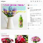 「切り花ながもち液」の画像