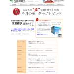 「洗濯槽のカビ防止・除菌消臭「洗濯槽快(分包タイプ)」」の画像