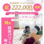 「抹茶パフェアイスバー特大抱き枕、ミニチュアフィギュア」の画像