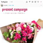 「バラの花束＆切り花ながもち液「美咲」」の画像