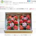 「村田農園のイチゴ」の画像