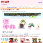 「優美に花咲くミニ盆栽 「すいれんぼく」　、「愛情の木」　、「さくら」など」の画像