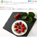 「茨城県いちご経営研究会【イチゴ】」の画像