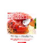 「美肌女子ご用達の元祖まるごとトマトゼリー」の画像