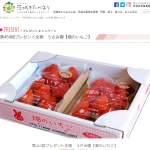 「うさみ園【畑のいちご】」の画像