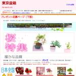 「優美に花咲くミニ盆栽 「すいれんぼく」　、「愛情の木」　、「さくら」など」の画像