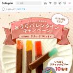 「いろどりスティックゼリー詰合せ」の画像