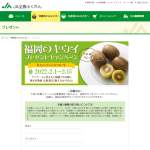 「福岡のキウイ「博多甘熟娘」」の画像