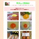 「もっこりと三段に盛りあがった卵です　宮崎のかわなか農園の産みたてもっこり新鮮卵」の画像
