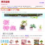 「優美に花咲くミニ盆栽 「すいれんぼく」　、「愛情の木」　、「さくら」など」の画像