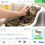 「給水器、フードボウル、爪とぎ、おもちゃ、お手入れセットなど」の画像