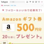 「Amazonギフト券500円・PACOON20個入（1箱）」の画像