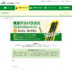 「博多アスパラガス」の画像