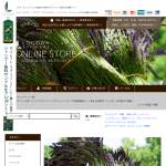 「ルアモUVカラーヴェールファンデーション」の画像