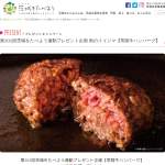 「常陸牛ハンバーグ」の画像