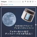 「ジョルダニアン デッドシー ソルト 500g」の画像