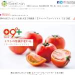 「スーパーフルーツトマト てるて姫」の画像