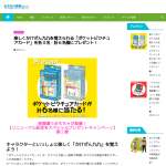 「ポケットピクチュアカード　かけざん九九」の画像