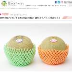 「愛ちゃんメロン2色セット」の画像