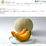 「クインシーメロン特秀2玉」の画像