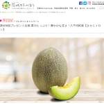 「タカミメロン」の画像