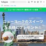 「ニューヨークで大人気の濃厚チョコブラウニー ファットウィッチブラウニー(8個入り)」の画像