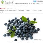 「フレッシュブルーベリー」の画像