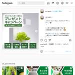 「水耕栽培セット」の画像