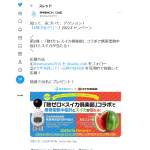 「日本気象協会監修 携帯型黒球付熱中症計と本物のスイカのセット」の画像