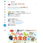 「ペット用おやつ詰め合わせ、動画編集ソフト」の画像