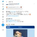 「ペット服ブランド『corazon』の犬用Tシャツ」の画像