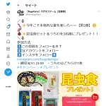 「昆虫食セット（ばったラーメン、こおろぎラーメン、ムシアメ、蚕糞茶）、非売品うちわ」の画像