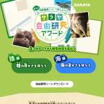 「最優秀賞：図書カード５、０００円分」の画像