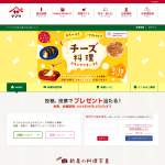 「Staubフォンデュセット」の画像