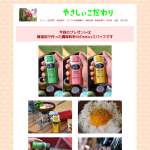 「無添加麦みその粉末をベース作った手軽に楽しめる世界の調味料」の画像