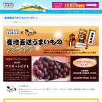 「マスカットビオレ」の画像