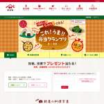 「京の創作竹芸品 弁当箱セット」の画像