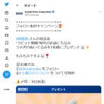 「うさぎのぬいぐるみ」の画像