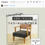 「1人掛けソファ カイン」の画像