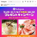 「瀬戸のもち豚せと姫 しゃぶしゃぶ鍋セット」の画像