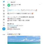 「ニューカレドニアの往復航空券（1組2名様）、天使のえび（10名様）、『天国に一番近い島』（20名様）」の画像