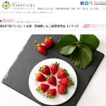 「イチゴ」の画像