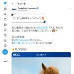 「馬のぬいぐるみ」の画像