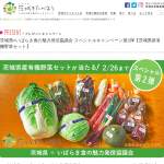 「茨城県産有機野菜セット」の画像