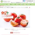 「スーパーフルーツトマト てるて姫」の画像